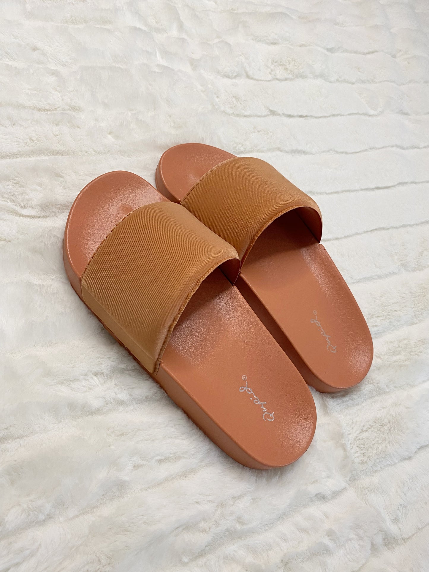 EVERYDAY SLIDES
